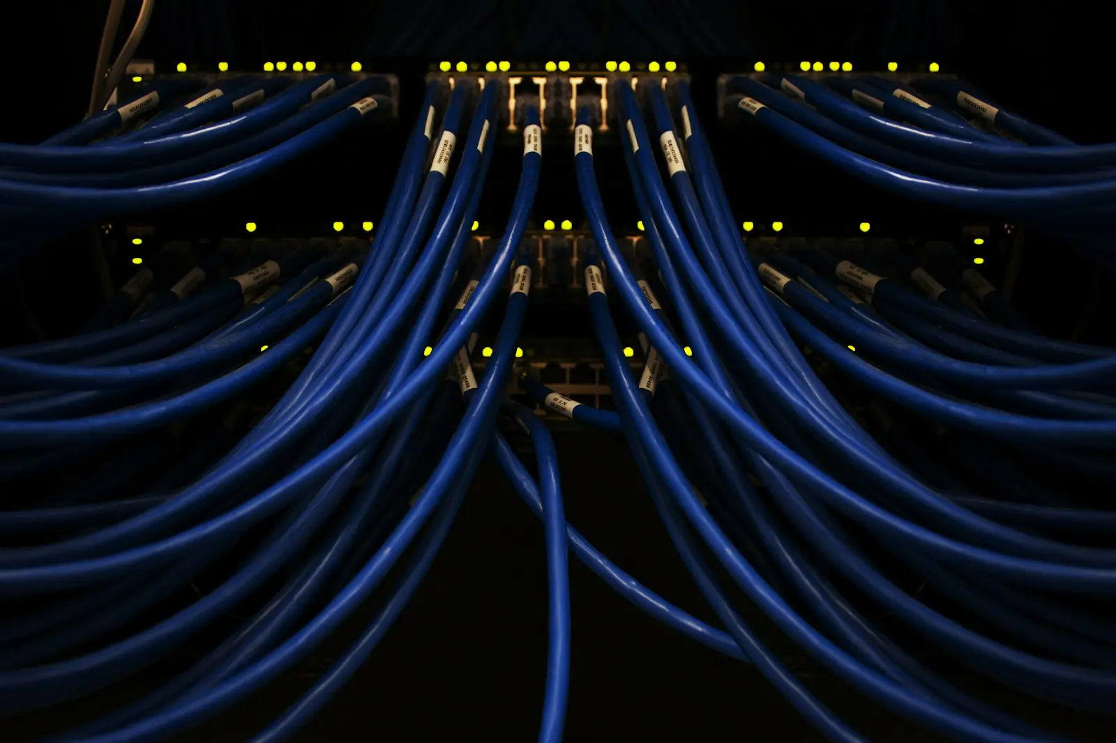 Blue network cables fanning out from a switch