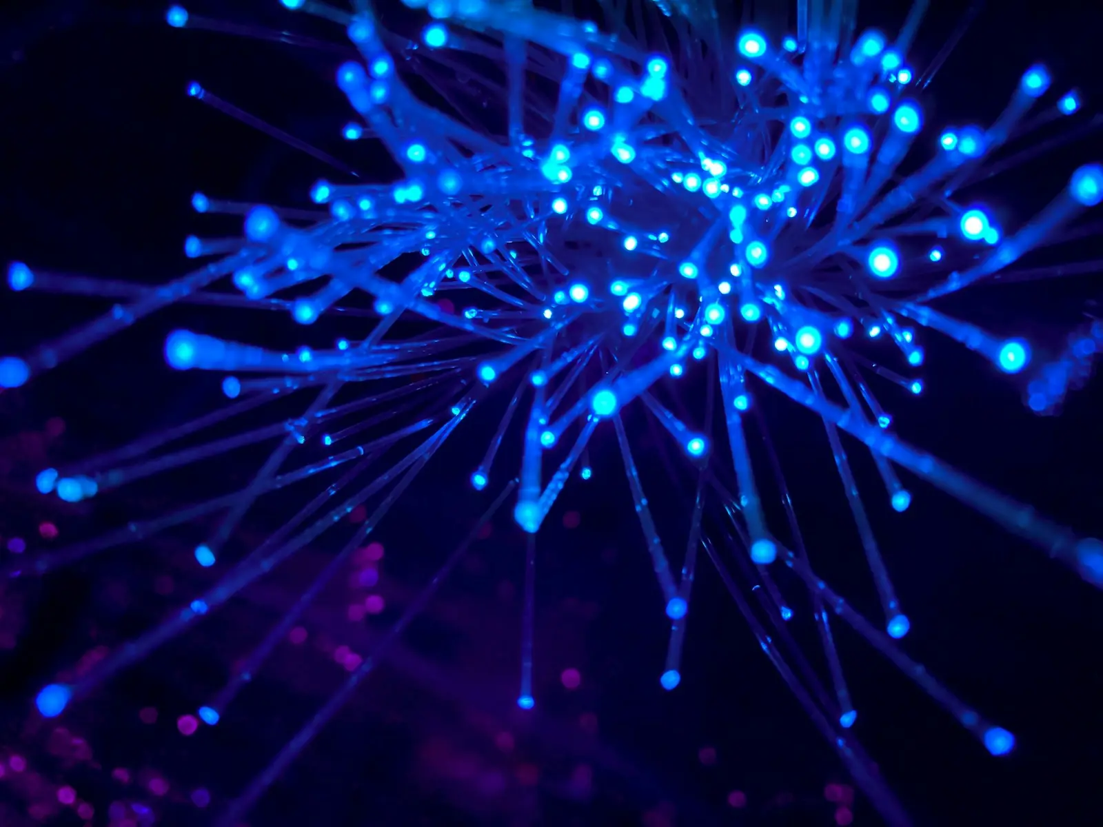 Blue fibre-optic strands branching like neurons